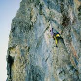 Haine pour Aime Orgues de Camplong