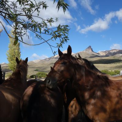 cerro colorado ravier patagonie 3