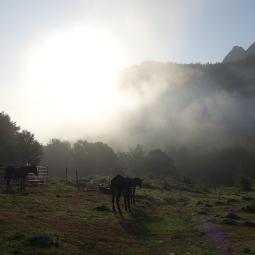 ansabere face sud ravier