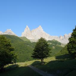 ansabere face sud ravier